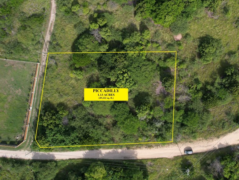 FOR SALE: 1.13 ACRES OF LAND IN PICCADILLY