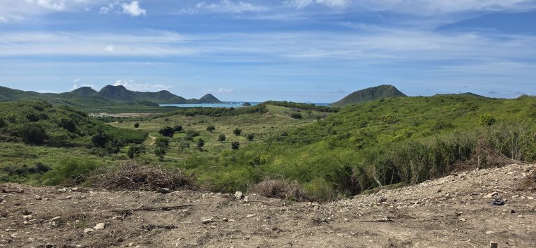 1 ACRE OF OCEAN VIEW LAND IN HATTON