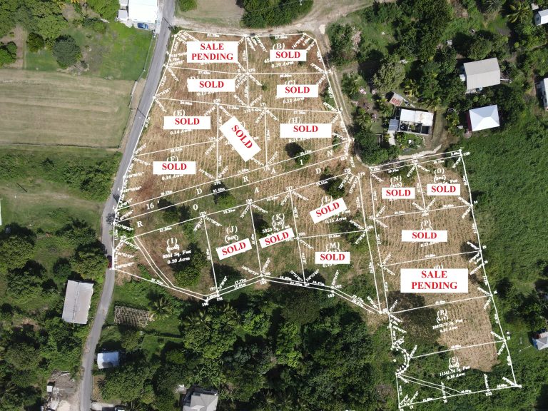 3 VACANT PLOTS IN AUCKLAND GARDENS, SWETES